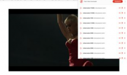 视频嗅探,一键嗅探技术背后的奥秘